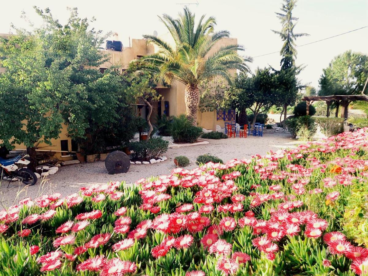 Vagia Beach Apartments, Aegina Island Værelse billede