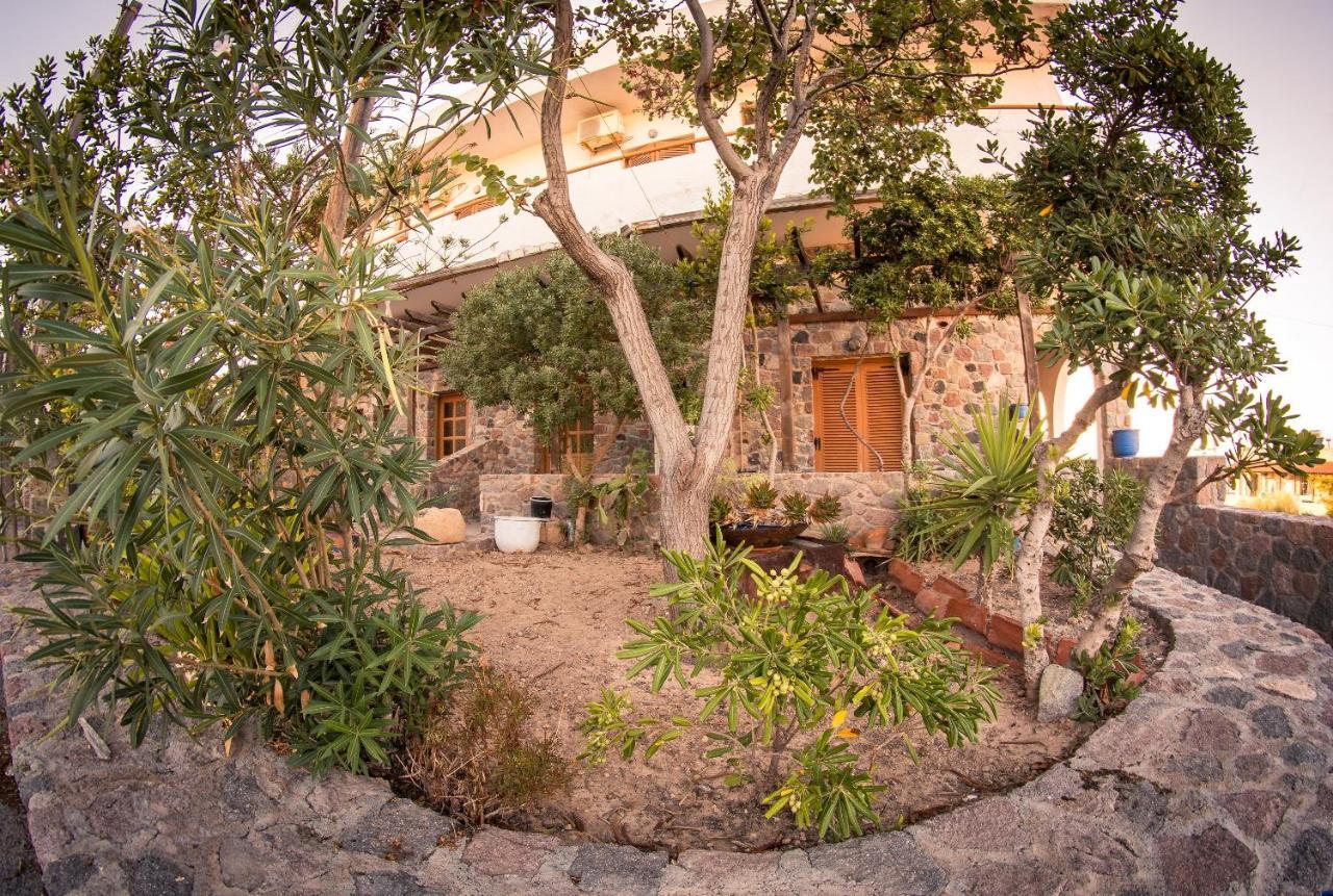 Vagia Beach Apartments, Aegina Island Værelse billede